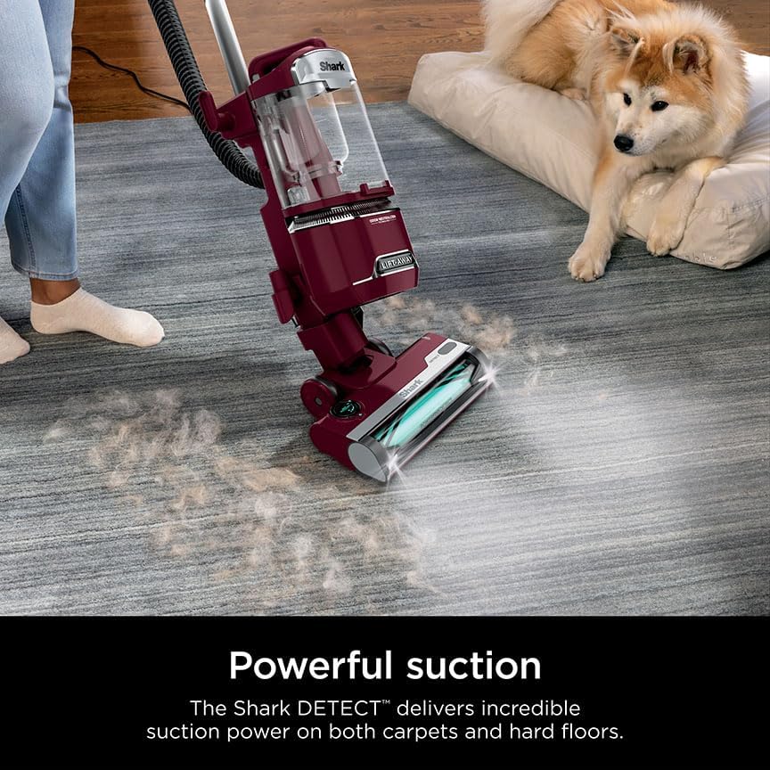 Shark DETECT LiftAway Corded Upright Vacuum with Detect Tec - New York - Albany ID1595867