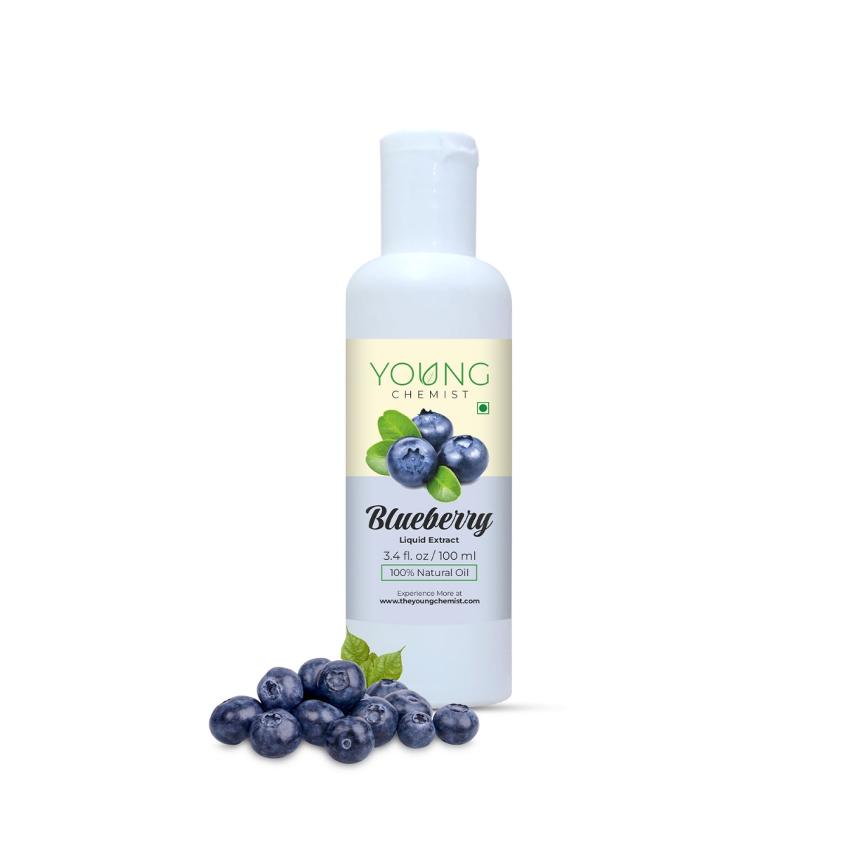 Blueberry Extract - Delhi - Delhi ID1592353