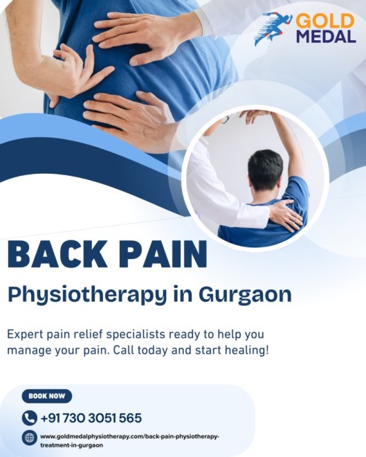 Back Pain Physiotherapy Gurgaon  Expert Care at Home - Haryana - Gurgaon ID1612525