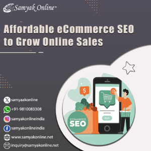 Affordable eCommerce SEO to Grow Online Sales - Delhi - Delhi ID1601778