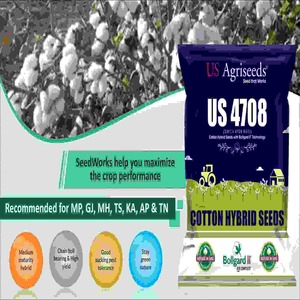 Hybrid Rice Seed Manufacturer - Andhra Pradesh - Hyderabad ID1602266
