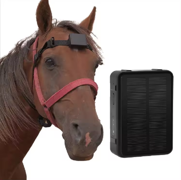 RFV24 Solar Bull Positioning Tracker Pet Dog Cat Tracker Wi - Alaska - Anchorage ID1587199 2