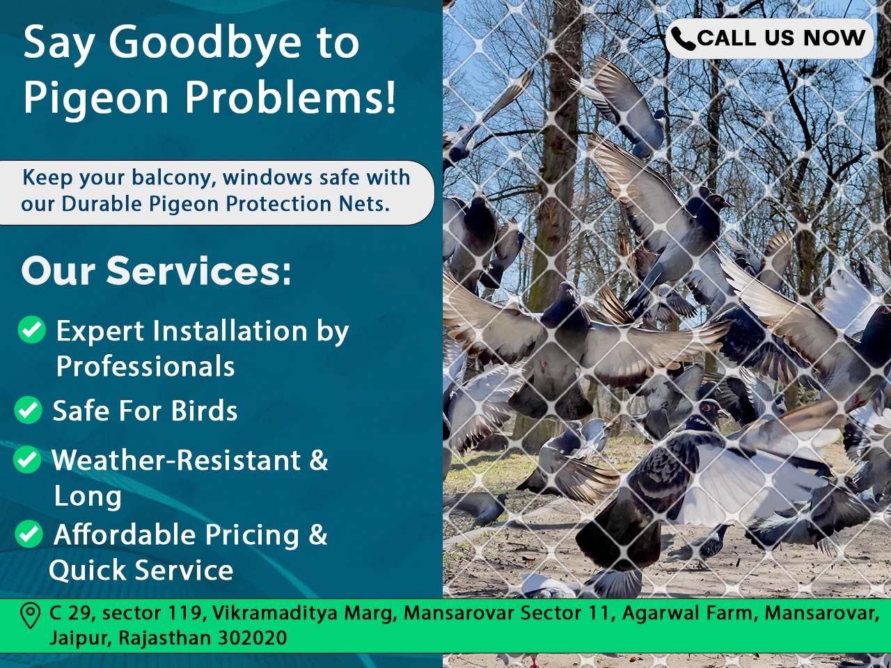 Secure Your Balcony with Invisible Grills in Jaipur - Rajasthan - Jaipur ID1616810