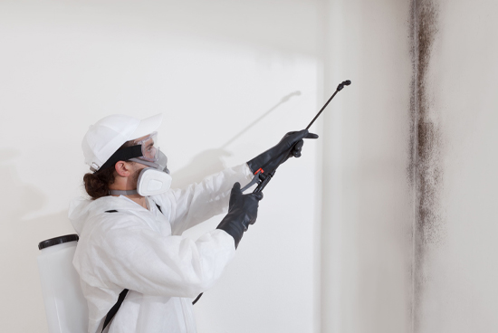 Emergency Mold Removal Elizabeth - New Jersey - Jersey City ID1607246
