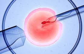 Trusted Fertility Services  Fertility Hospital Near Me  in - Karnataka - Bangalore ID1602915