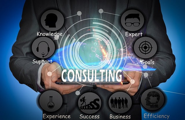 IT Consulting Services in Gurgaon - Haryana - Gurgaon ID1594542