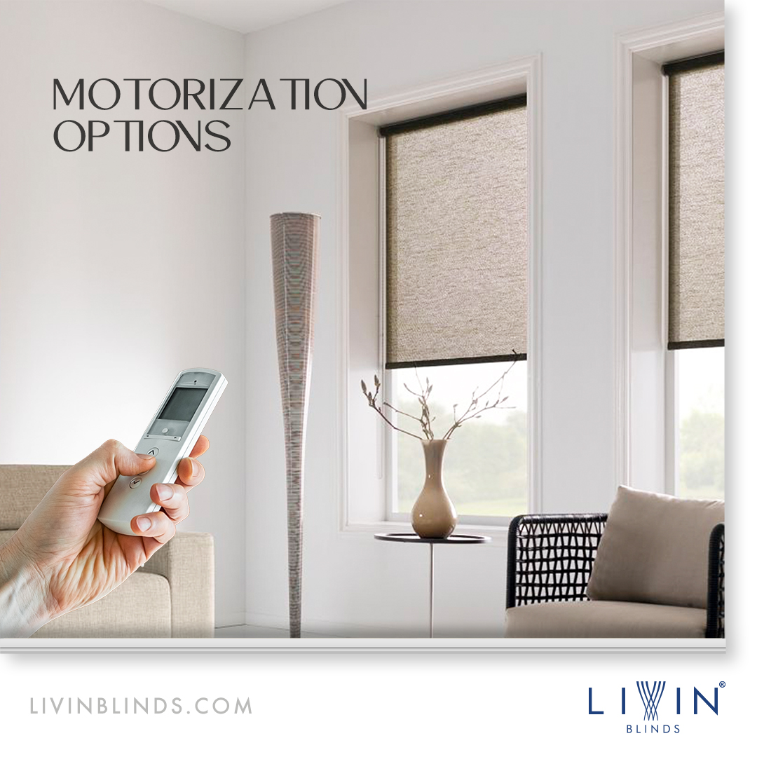 Smart Motorized Curtain for Modern Living - Delhi - Delhi ID1600900