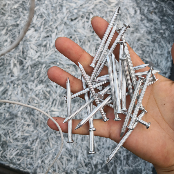 Concrete nailsconcrete nails with two heads - Assam - Guwahati ID1597297
