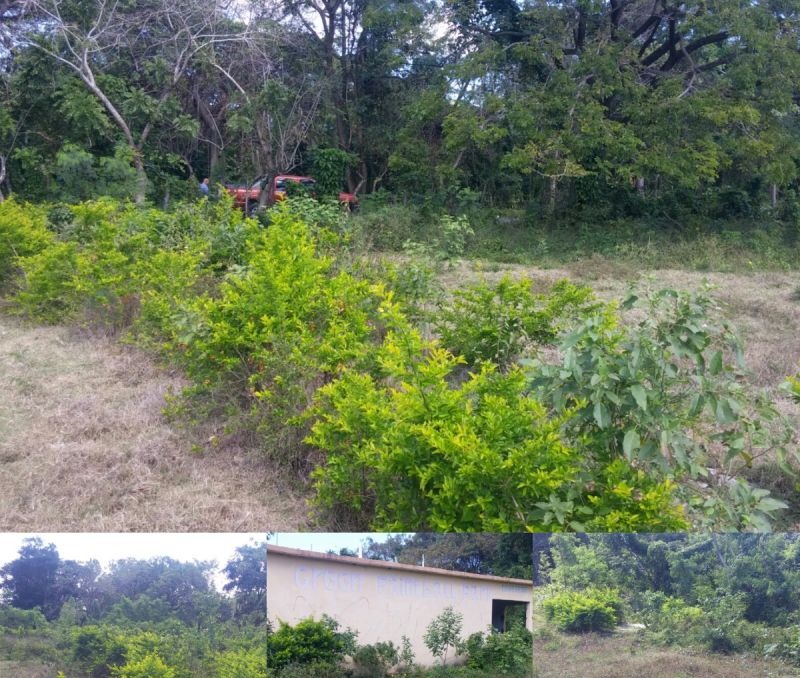 Terrenos En La Playa Solares Ciudad Y Fincas En El Campo E - New York - New York ID1610832 4