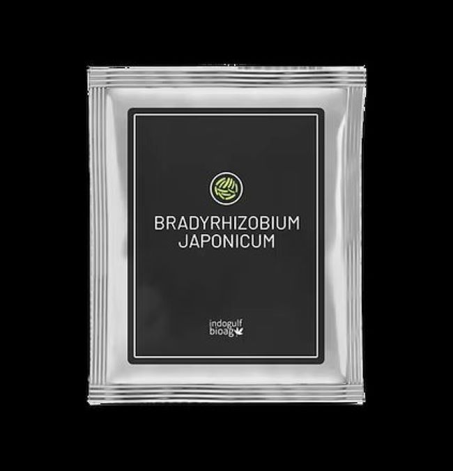 Best Organic Solution for Soybeans  Bradyrhizobium japoni - Wyoming - Casper ID1607227 1