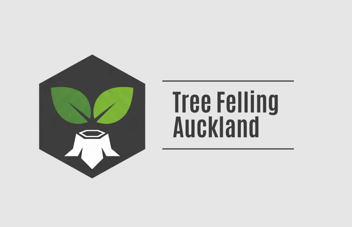 Tree felling auckland - California - Los Angeles ID1620777