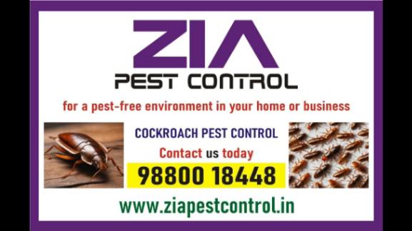 Zia Pest Control  Cockroach pest control cleaning services  - Arizona - Tempe ID1597585