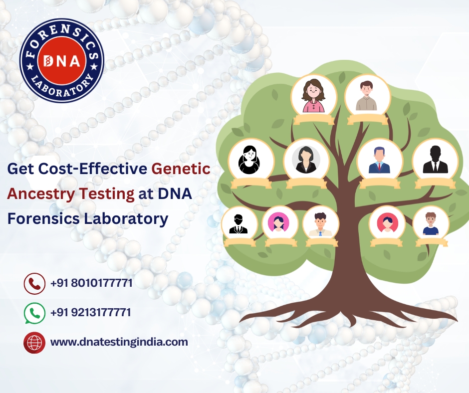 Exploring Family History with Ancestry Testing in India - Delhi - Delhi ID1599533