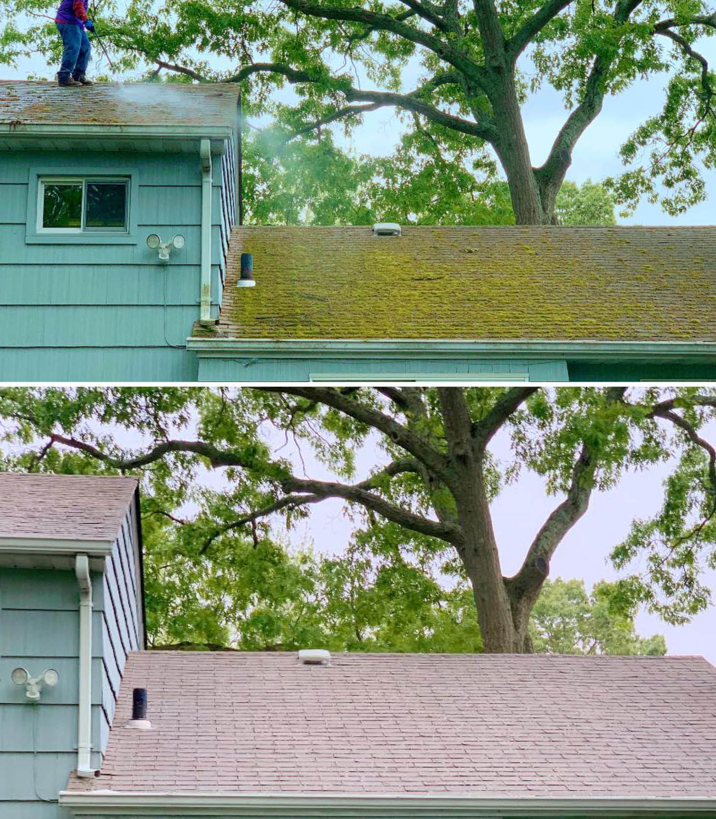 Gulf2Bay Softwash  Roof and Exterior House Washing Experts  - New York - New York ID1607096 1