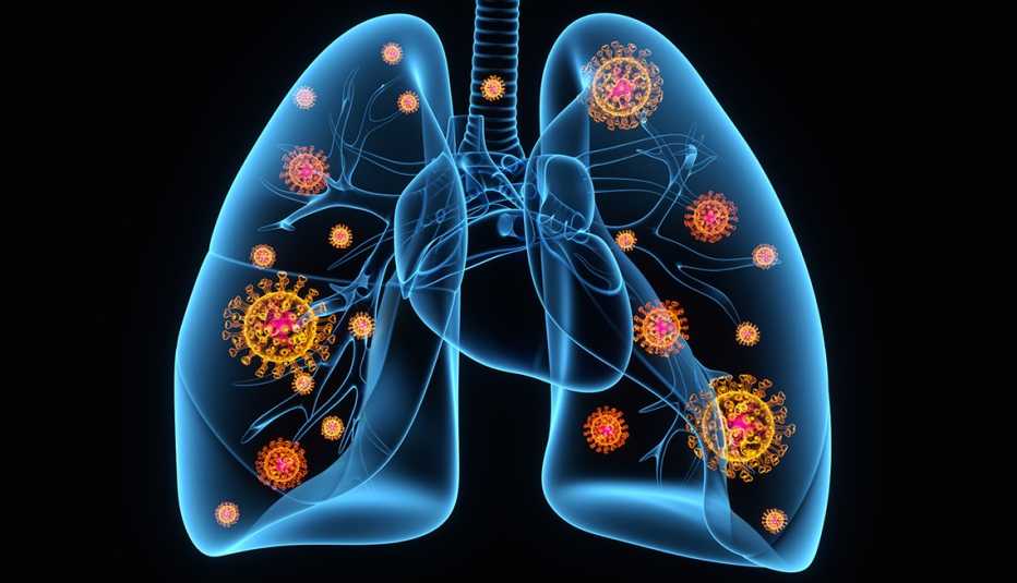 Enhancing Lung Capacity Naturally - Rajasthan - Jaipur ID1543481