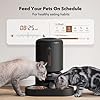 Automatic Cat Food Dispenser for Two Cats 5L Auto Cat Feeder - New York - Albany ID1550918