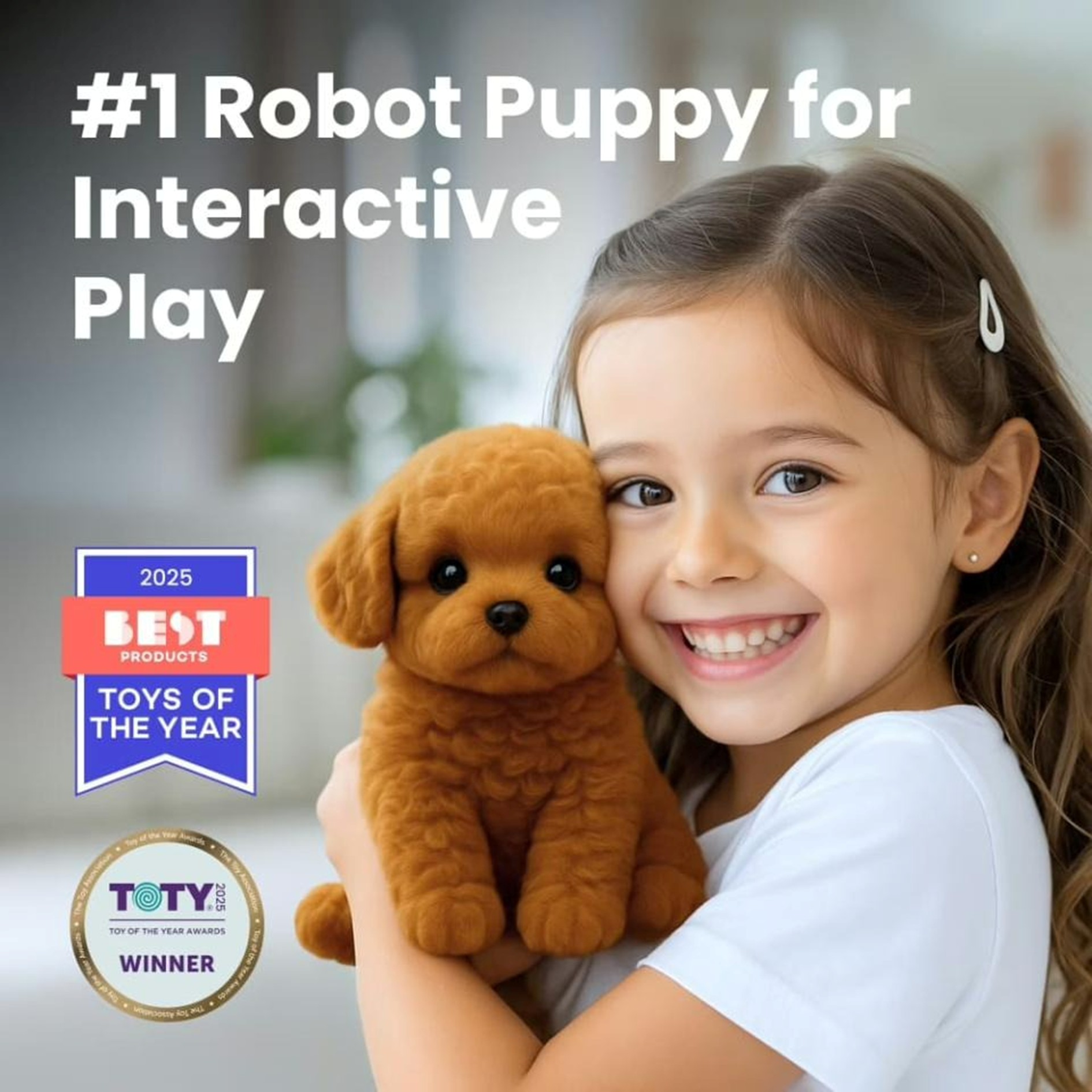 Wuffy Robot Dog  - New York - New York ID1621655