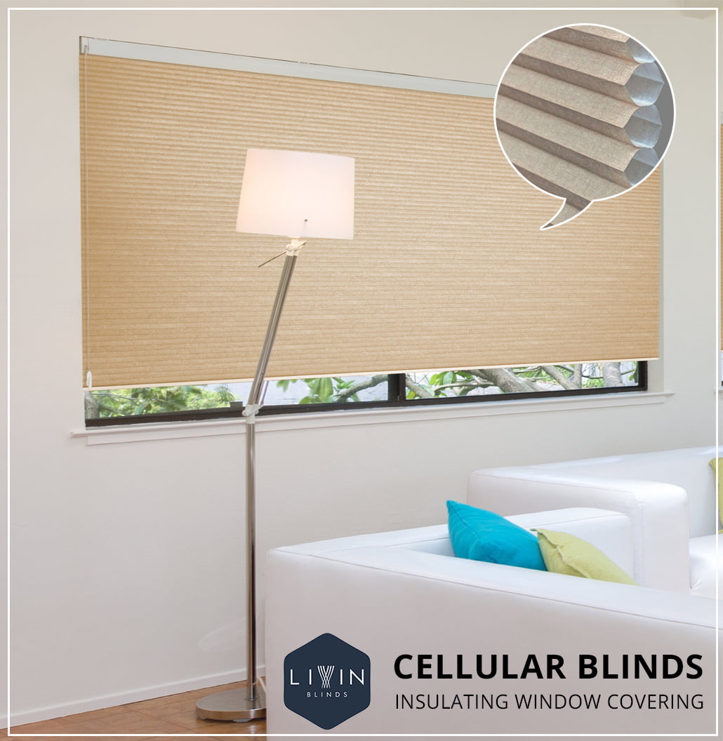 Elegant Window Makeover with Cellular Shades - Delhi - Delhi ID1601471