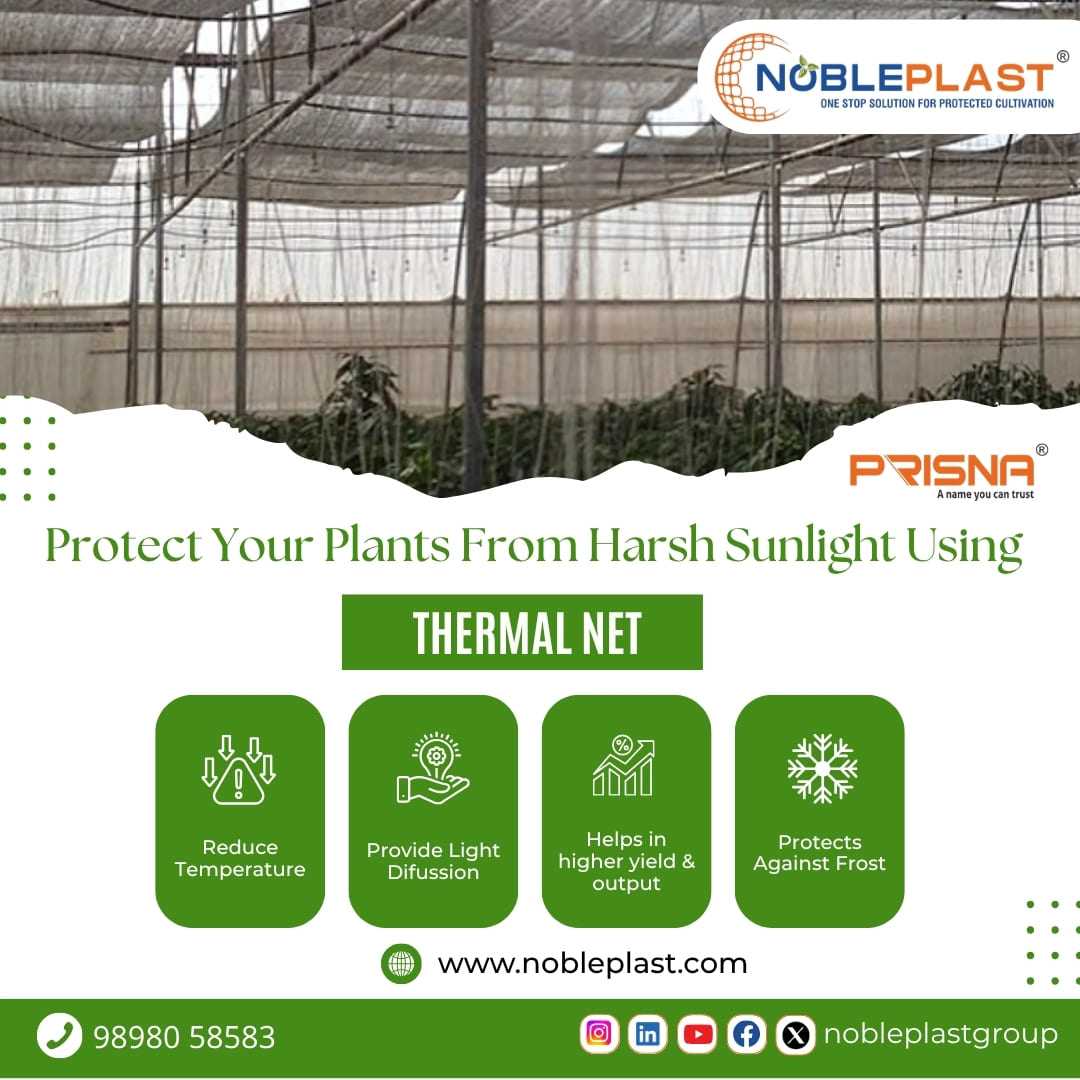 Best Quality Thermal Net Supplier in Madurai - Tamil Nadu - Madurai ID1611780