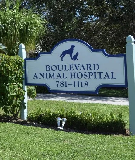 Boulevard Animal Hospital - Florida - West Palm Beach ID1514479