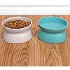  Kitty City Raised Cat Food Bowl CollectionStress Free Pet  - New York - Albany ID1551188 2
