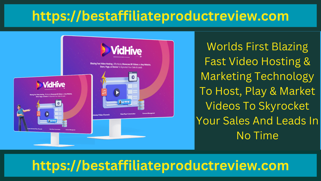 Vidhive Review Professional Video Hosting  Marketing Softw - New York - New York ID1560775