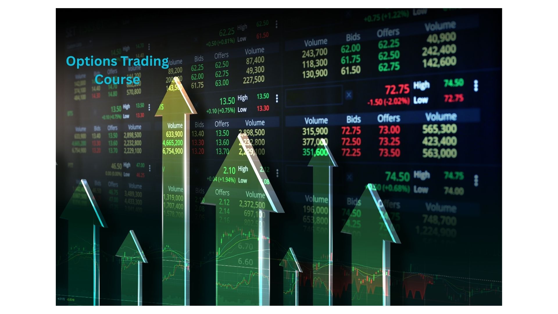 Master Options Trading with Live Market PracticeICFM Indi - Delhi - Delhi ID1617326