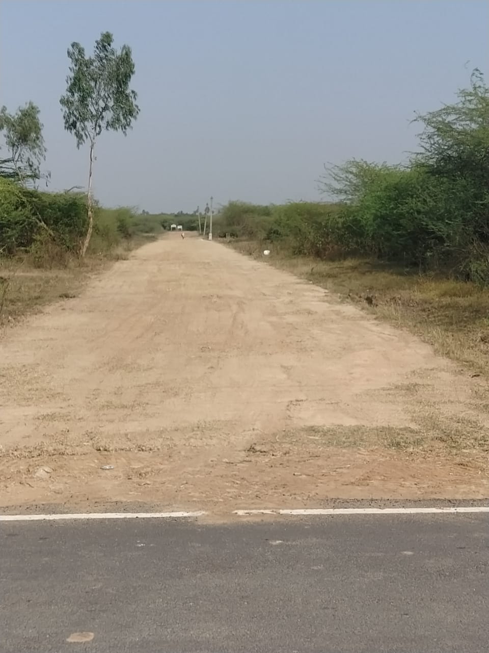 DTCP APPROVED PLOTS FOR SALE AT SEVAPPET - Tamil Nadu - Chennai ID1594333 2