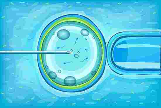 High Success IVF Services in Bangalore  Best fertility hosp - Karnataka - Bangalore ID1608424