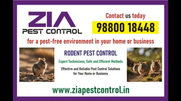 Rodent Control Treatment  Appartments and school Specil Dis - Indiana - Fort Wayne ID1597302