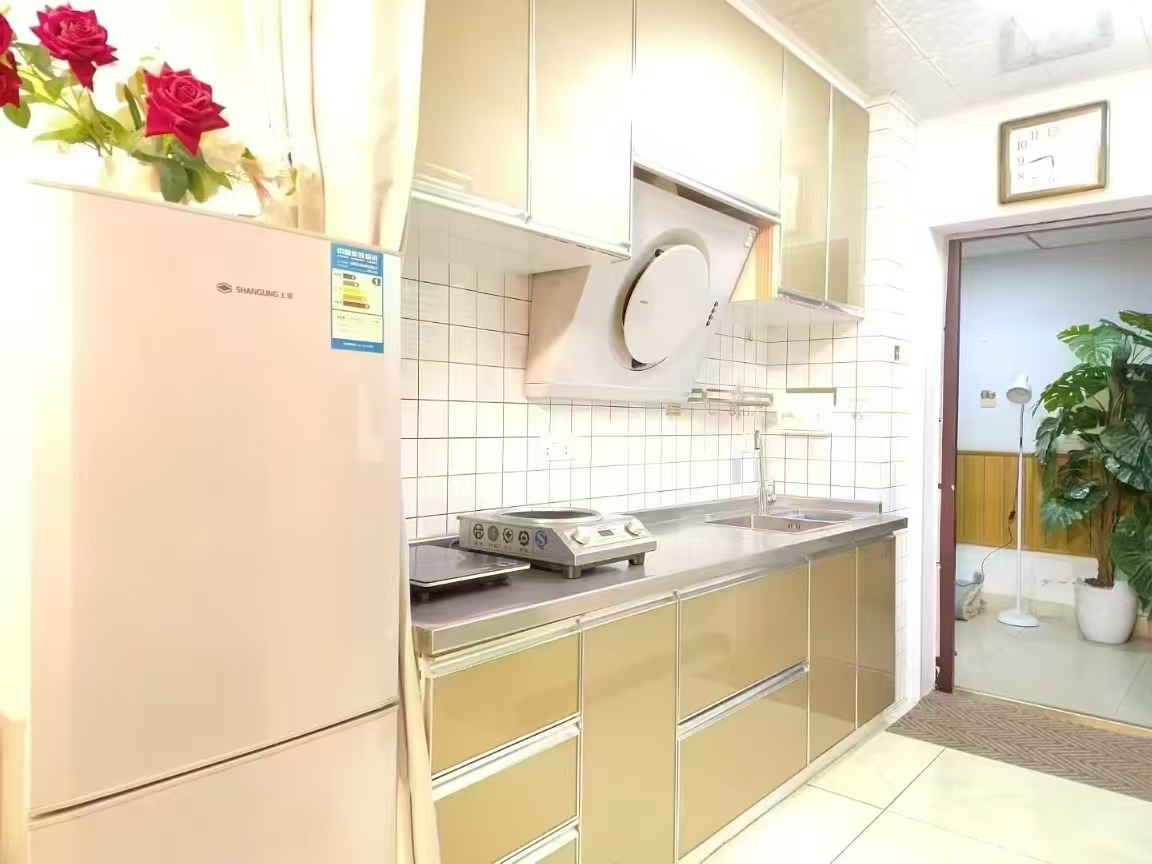 Shanghai Downtown 1BR1LR1KR1BA Line 14ElevatorLow Cost - New York - New York ID1601726 3