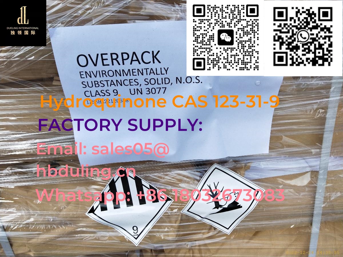 Factory Supply High Quality Hydroquionone CAS 123319 in St - Florida - Bradenton ID1556050