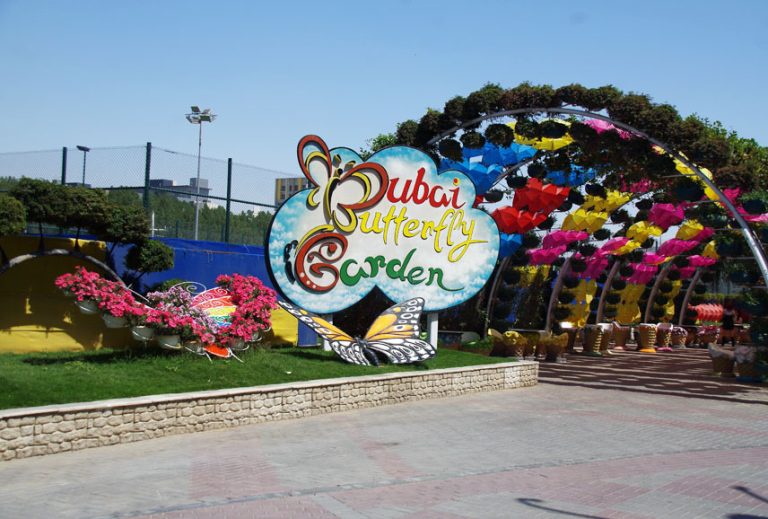 Butterfly Garden Dubai  Golden Treasure Tourism - California - Chula Vista ID1535377