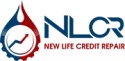 Choose NLCR Professionals for Credit Score Services  - Texas - Dallas ID1525535