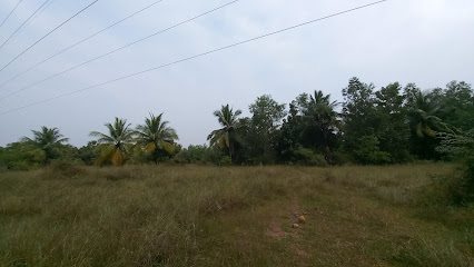 SDN FARMS PLOTS FOR SALE AT KILOY VILLAGE - Tamil Nadu - Chennai ID1595935