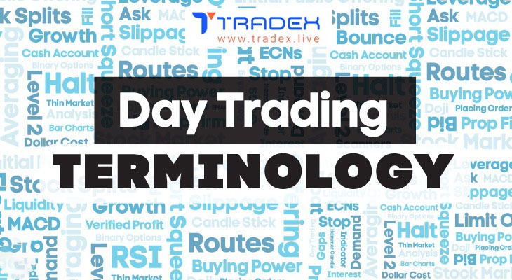 10 Essential Stock Market Terms Every Beginner Should Know  - Maharashtra - Pune ID1601130