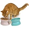 Kitty City Raised Cat Food Bowl CollectionStress Free Pet  - New York - Albany ID1551188