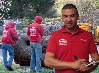 Flexible Tree Removal Financing in NJ  Amazing Tree Servi - New Jersey - Jersey City ID1618701