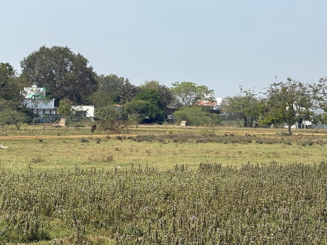  Dtcp approved plots for sale at kalyana kuppam village - Tamil Nadu - Avadi ID1608315 2
