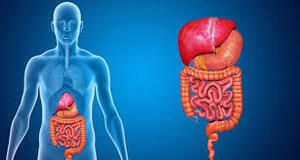 Leading Gastroenterologist  Liver Specialist in Ahmedabad - Gujarat - Ahmedabad ID1598672