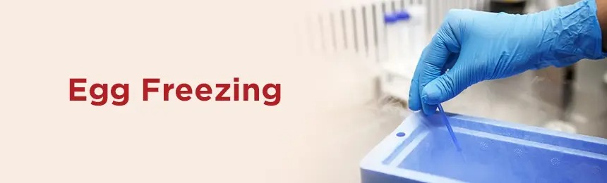 Egg Freezing  Preserve Your Fertility for the Future - Delhi - Delhi ID1602219