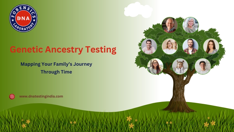 Genetic Ancestry Testing Mapping Your Familys Journey Th - Delhi - Delhi ID1598932