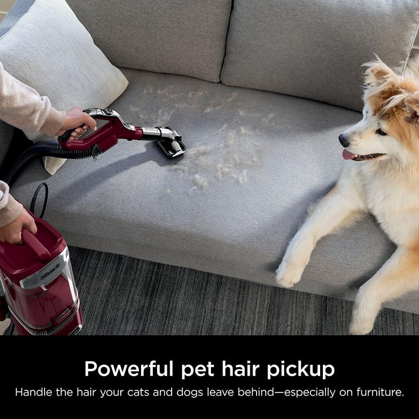 Shark DETECT LiftAway Corded Upright Vacuum with Detect Tec - New York - Albany ID1595867 2