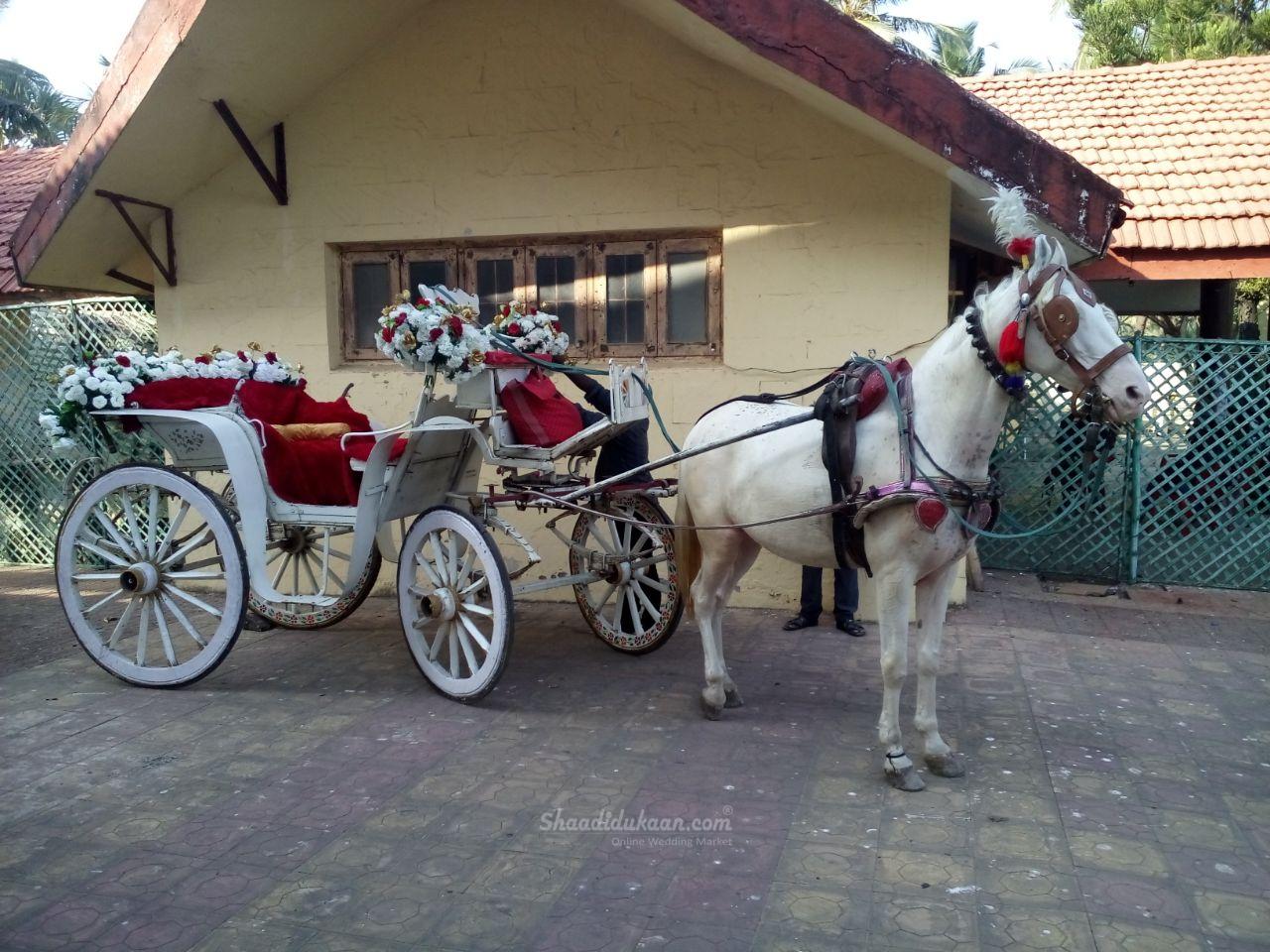 Top Wedding Bands in Mumbai  Band Services for Barat  Ghor - Maharashtra - Mumbai ID1585288