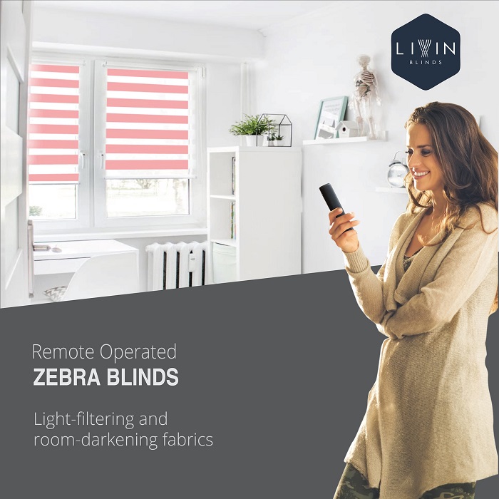 Zebra Blinds for Windows - Delhi - Delhi ID1587840