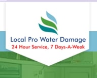 Residential Flood Damage Cleanup Riverside  Pro Water Damag - California - Riverside ID1537990