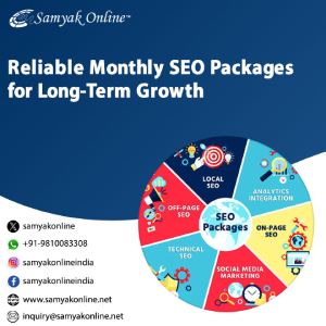 Reliable Monthly SEO Packages for LongTerm Growth - Delhi - Delhi ID1601751