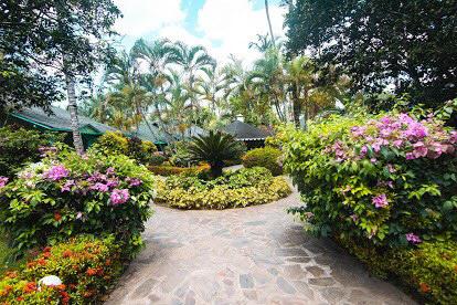 Villa Paradisiaca En Las Terrenas De Alquiler!!! - New York - New York ID1610926