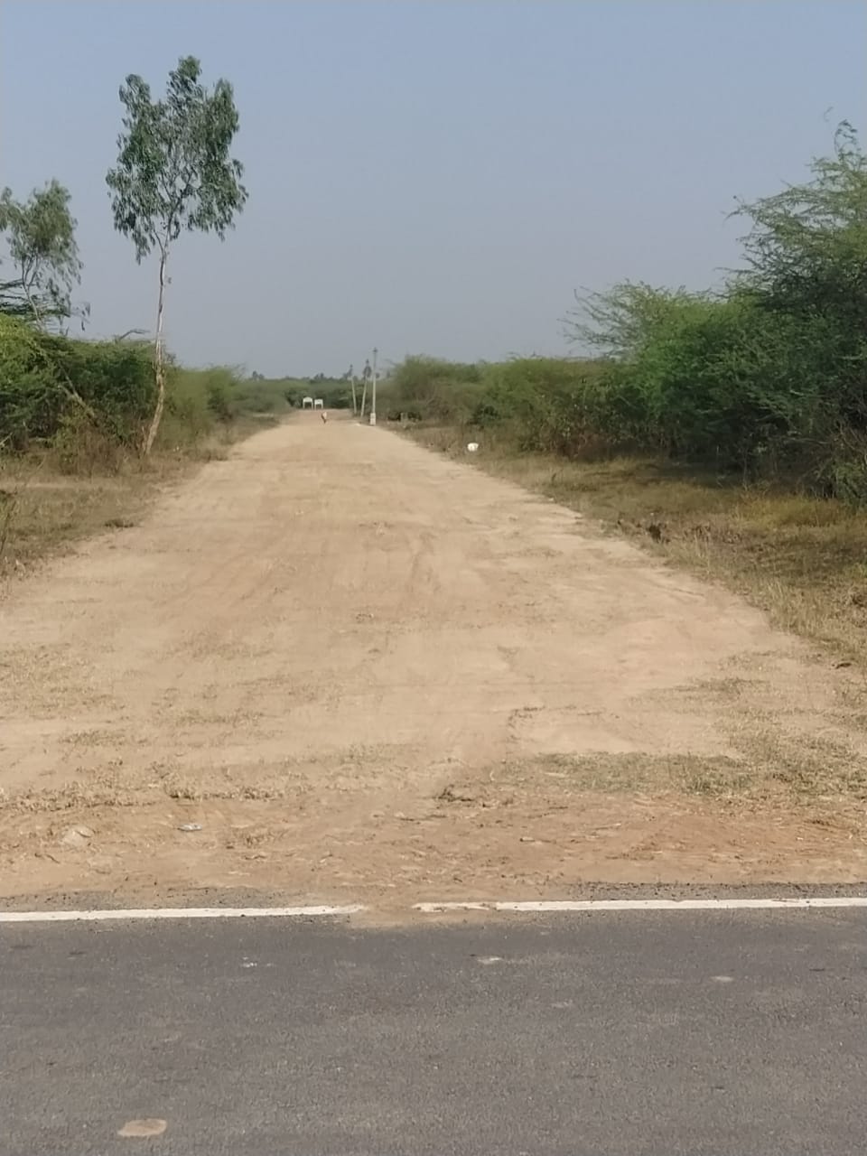 DTCP APPROVED PLOTS FOR SALE AT SEVVAPET - Tamil Nadu - Chennai ID1553976