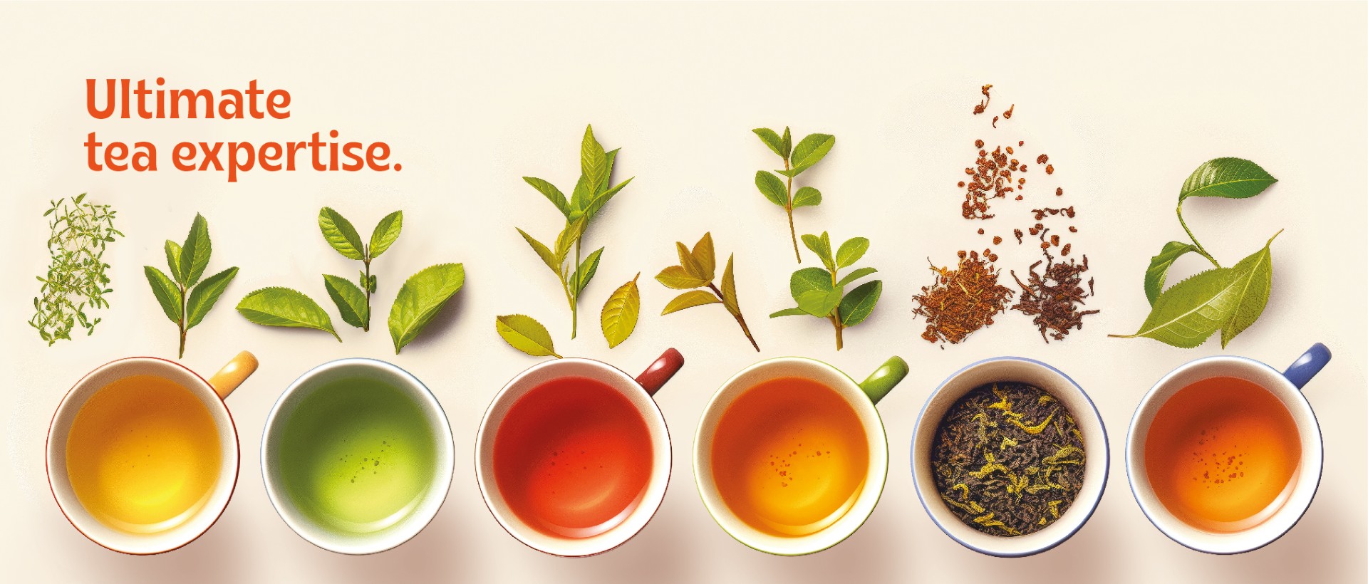 Experience the Perfect Blend of Flavour and Sustainability w - West Bengal - Kolkata ID1599291 2